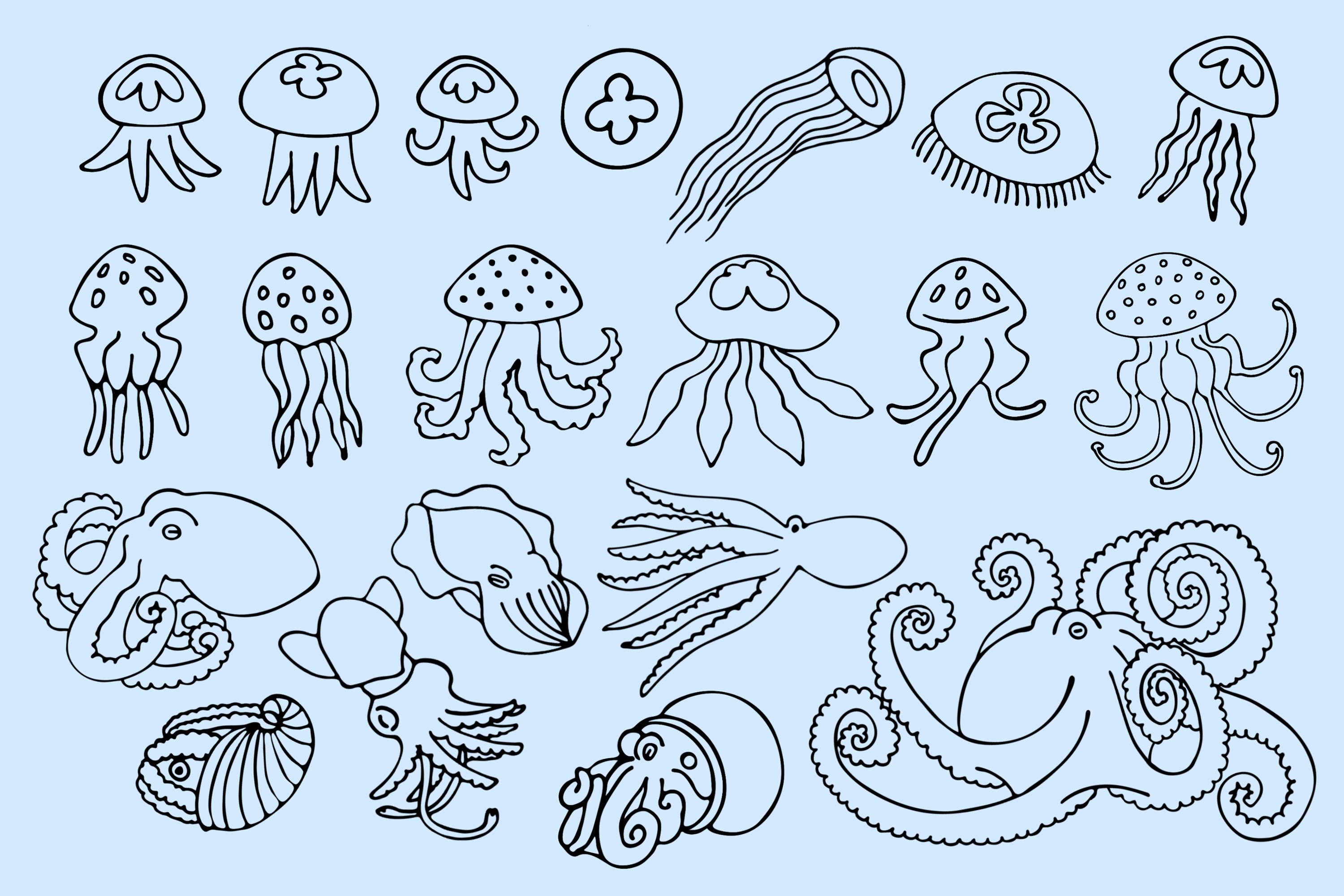 Diverse of the octopuses and jellyfishes.