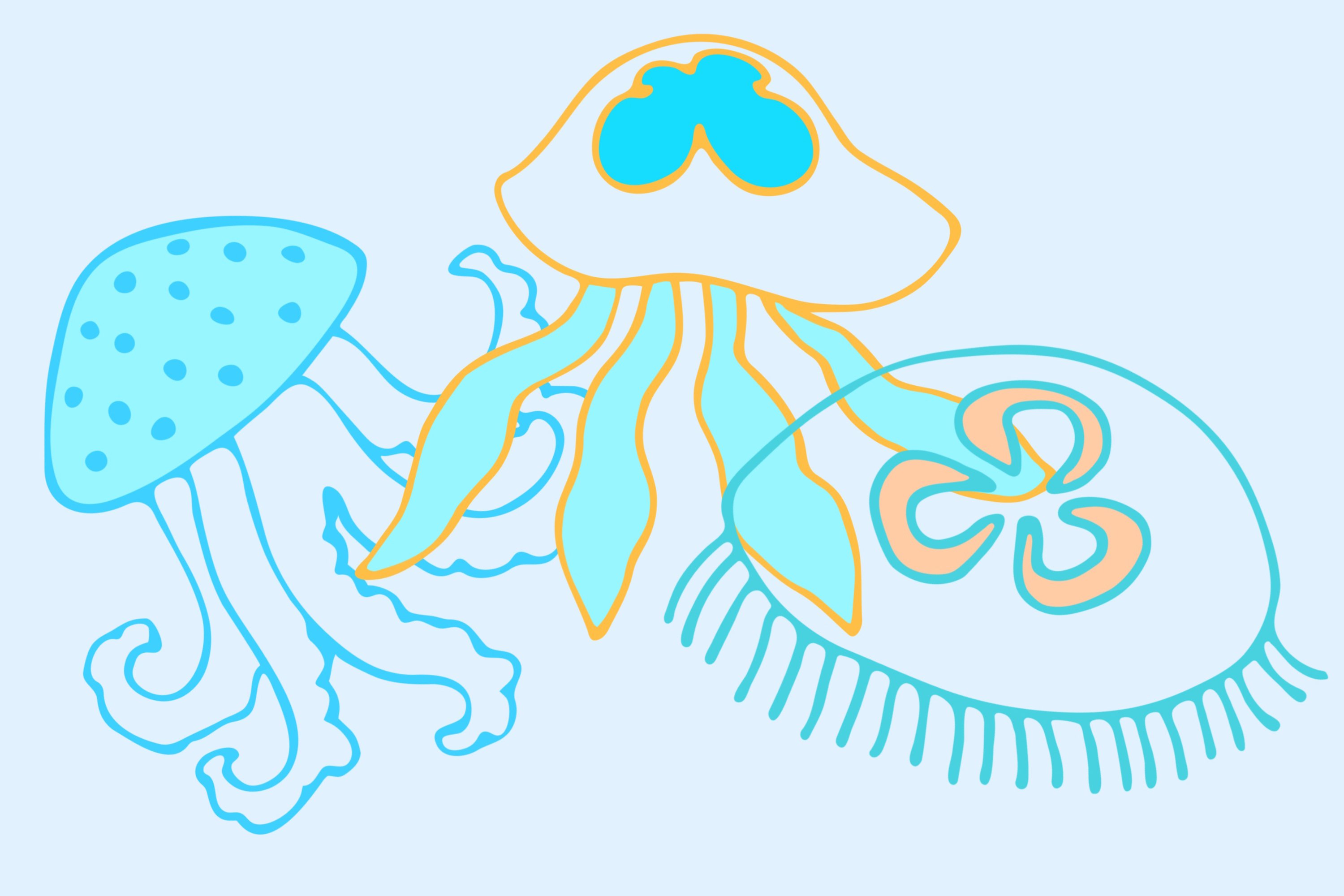 Turquoise jellyfishes with bright borders.