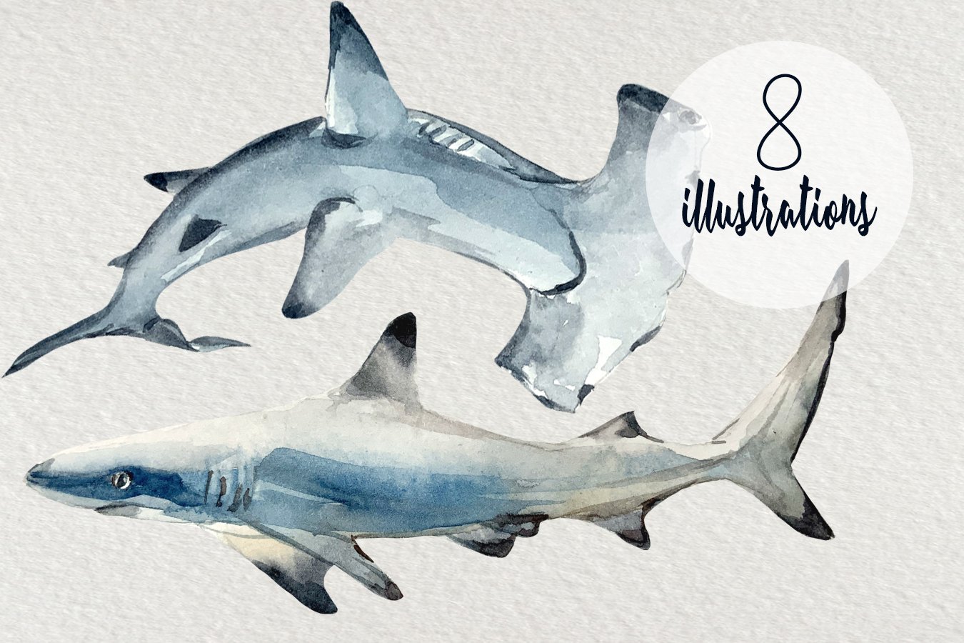 Realistic watercolor sharks.