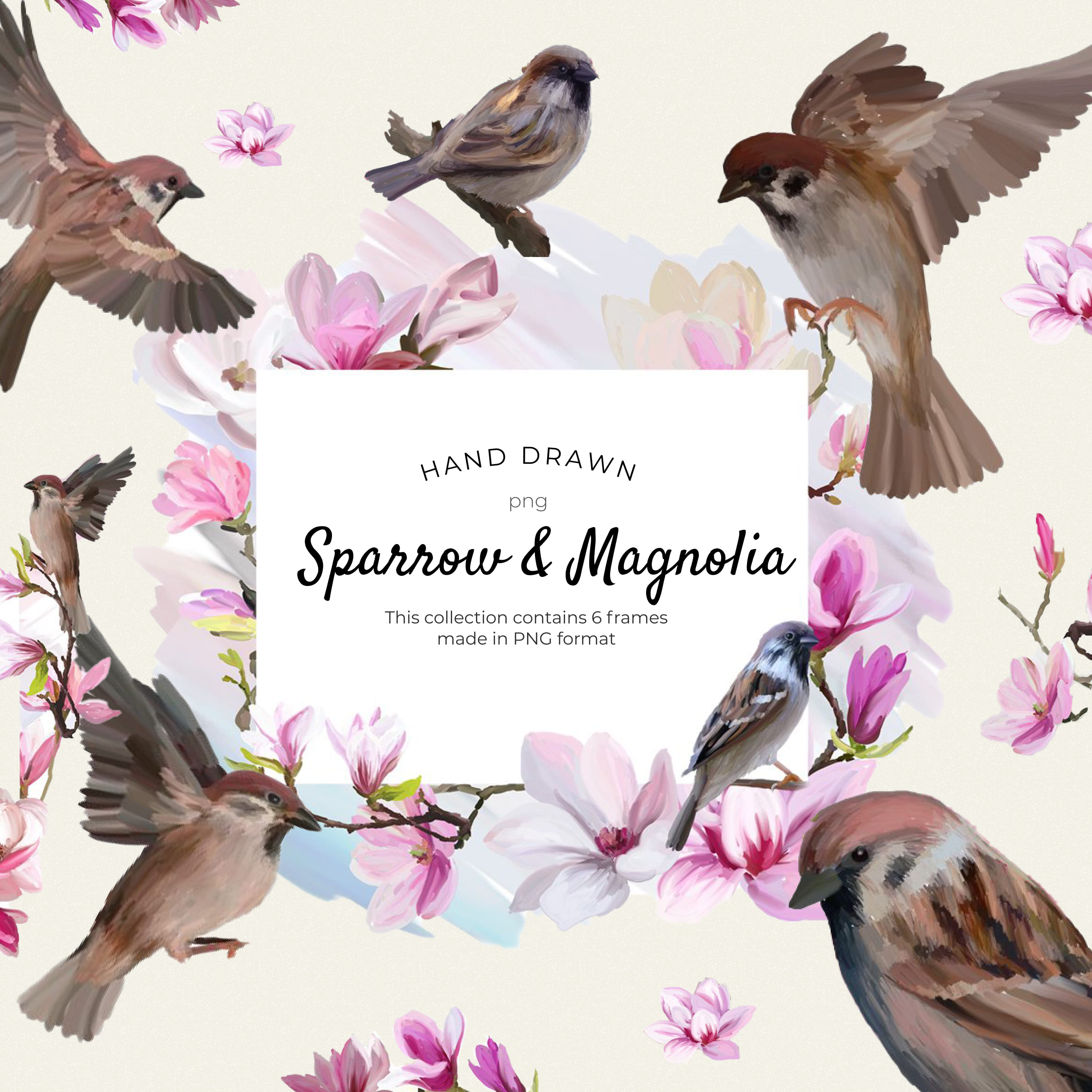 Sparrow and magnolia hand drawn floral frames - main image preview.