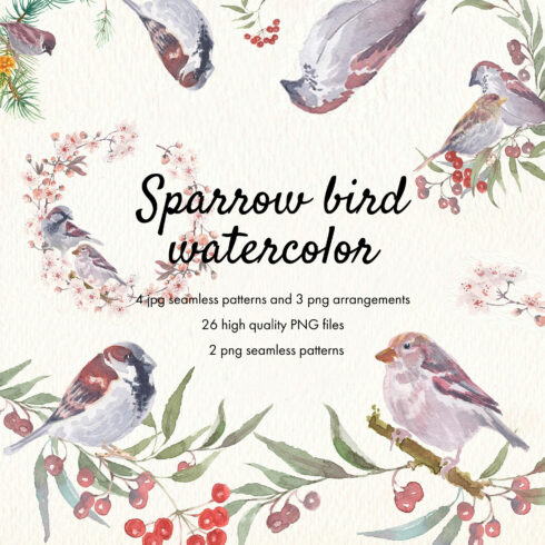 Sparrow bird watercolor clipart - main image preview.