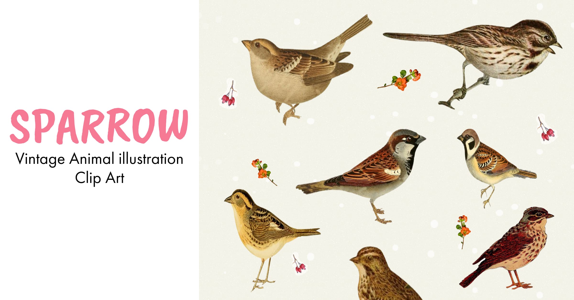 Sparrow vintage animal illustration clip art - Facebook image preview.