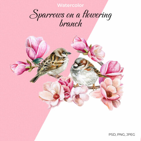 Sparrows on a flowering branch - main image preview.