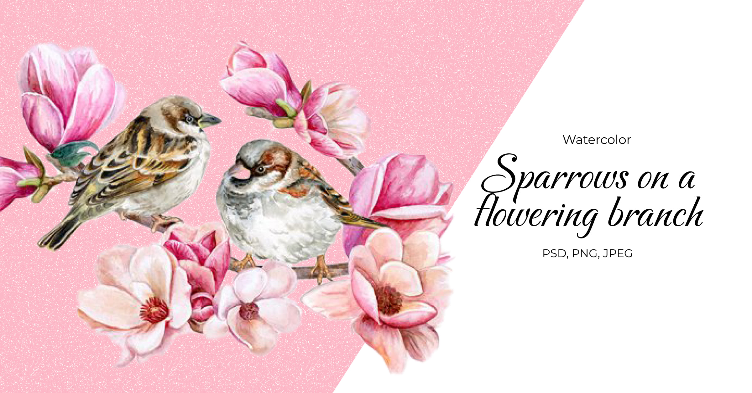 Sparrows on a flowering branch - Facebook page preview.
