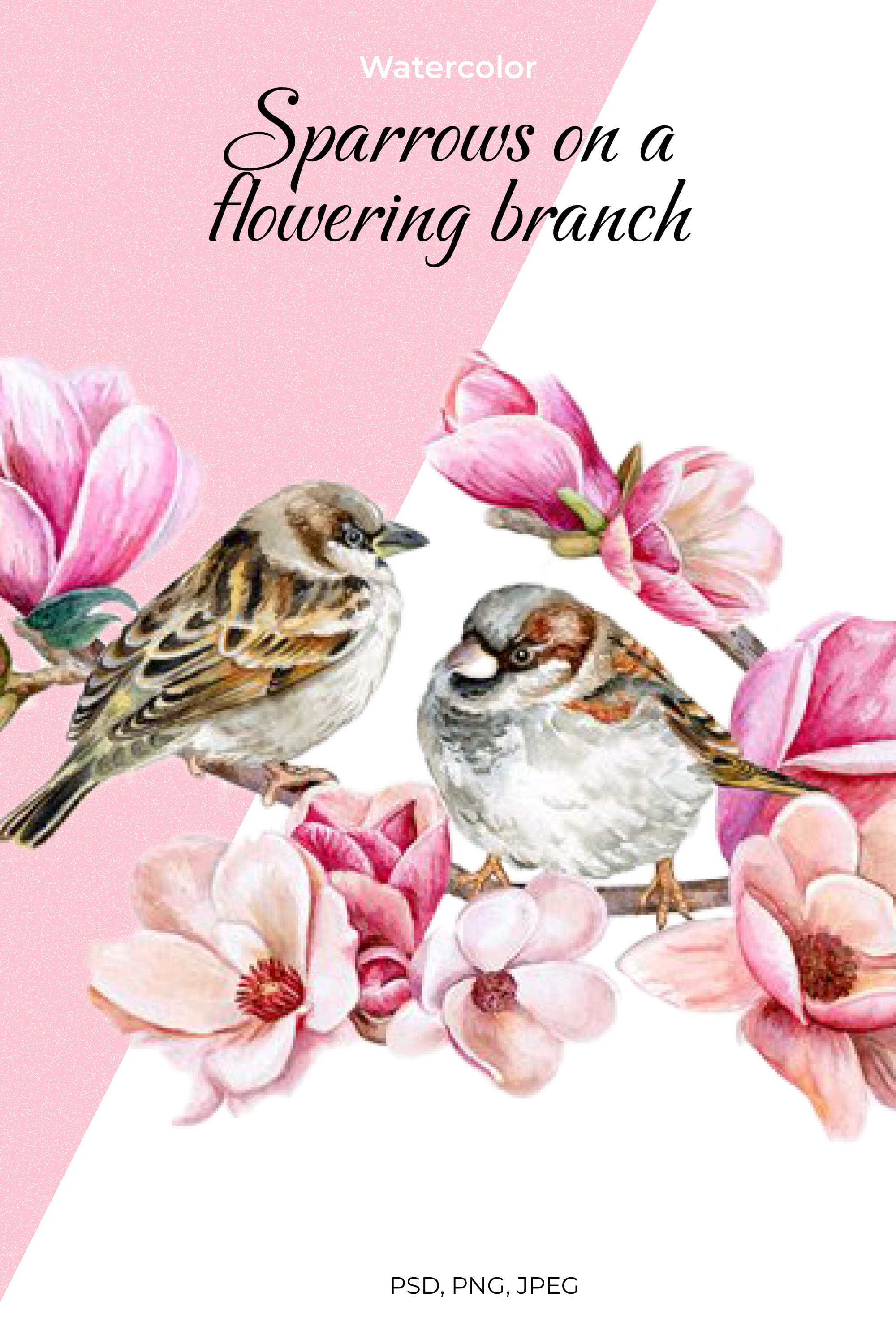 Sparrows on a flowering branch - pinterest image preview.