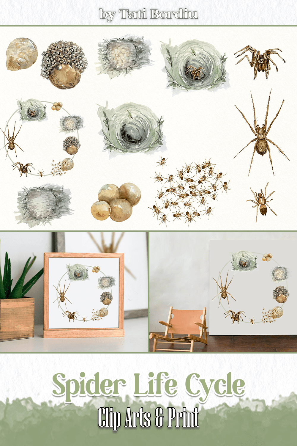 Eco spider illustrations.