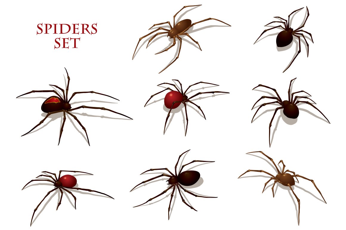 White background with spiders in the different styles.