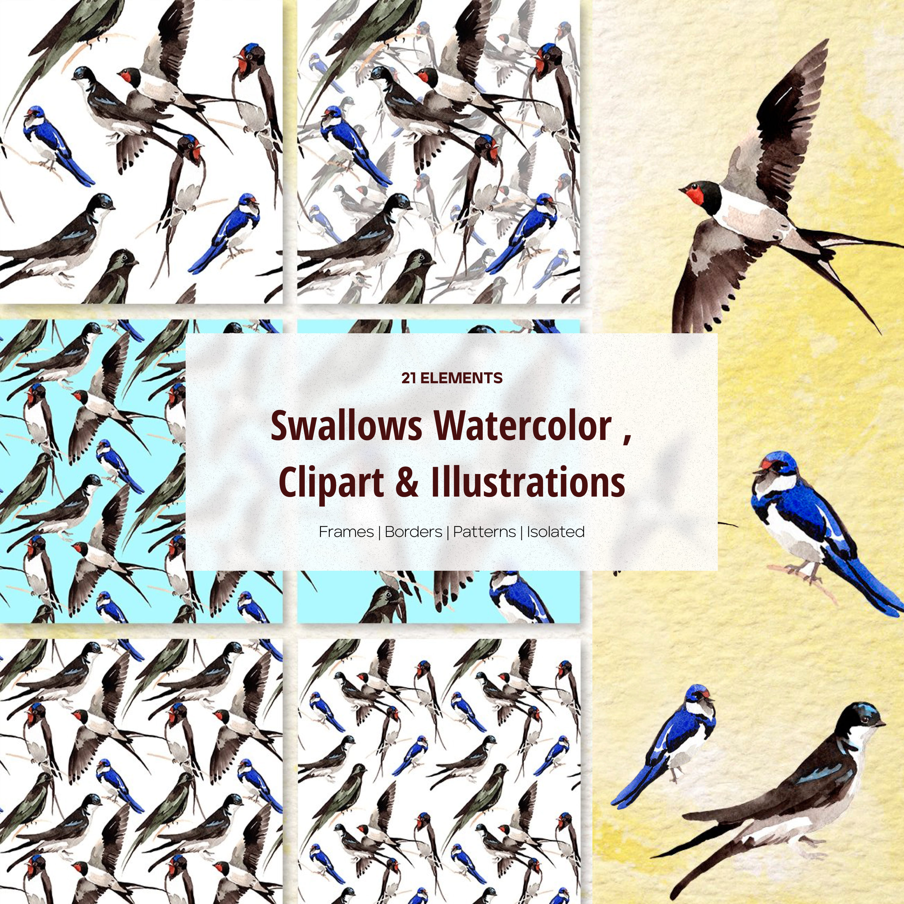 Swallows watercolor png - main image preview.