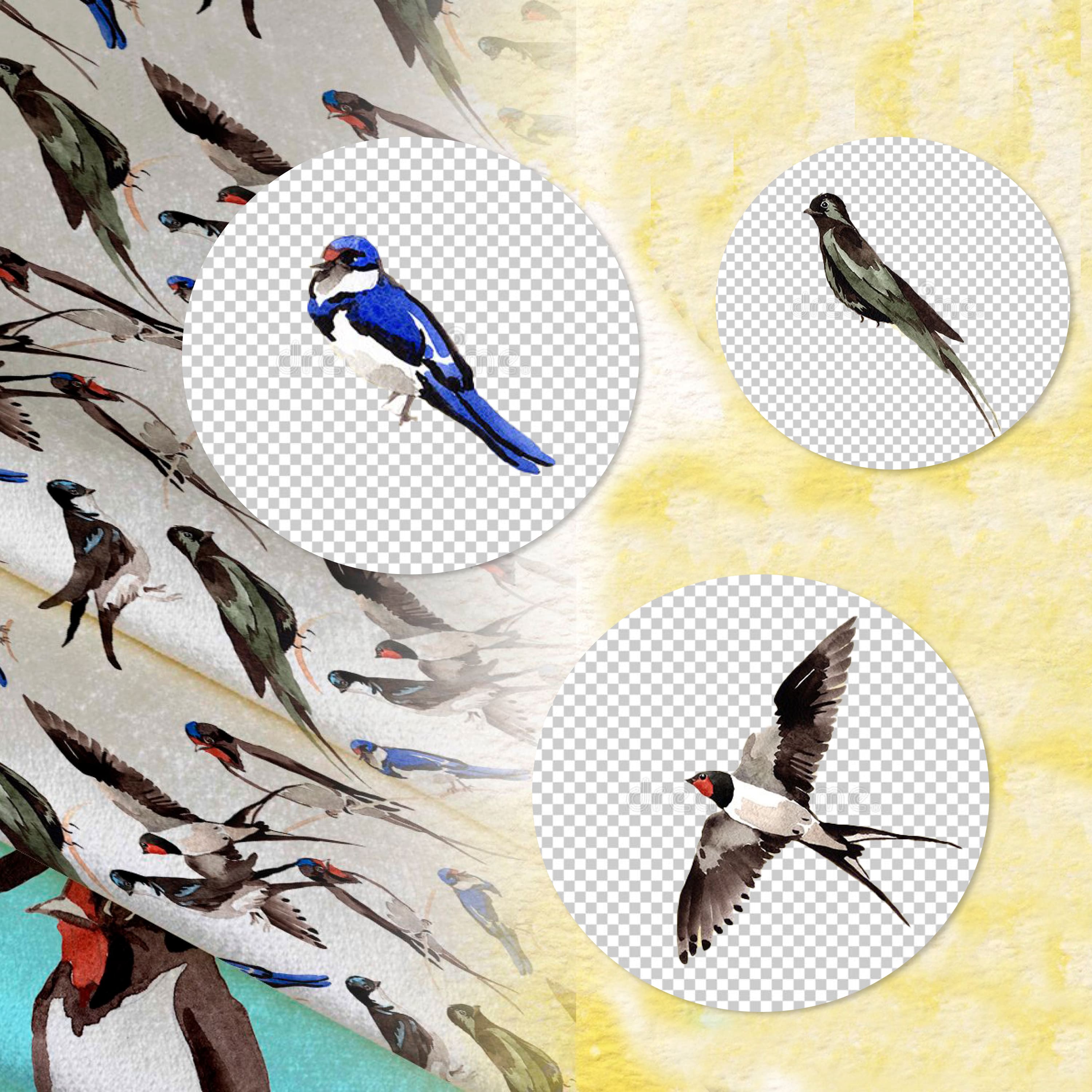 Different versions of swallows watercolor printed elements.