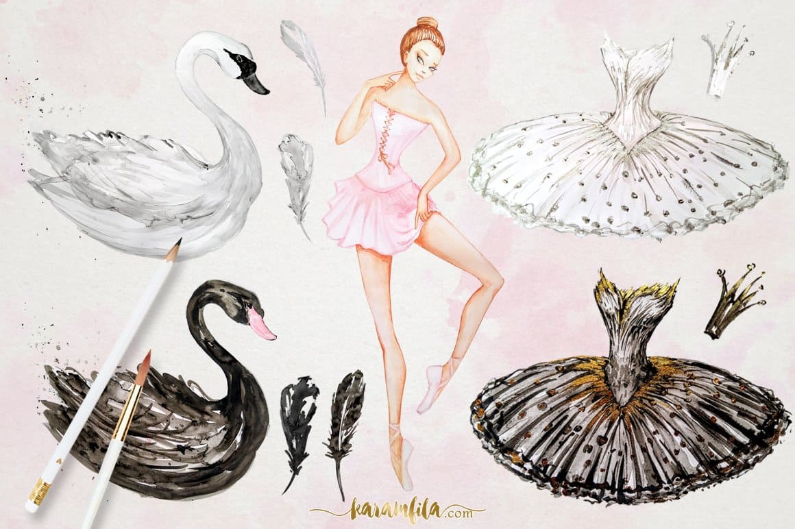 Delicate ballerina around the swans and dresses.