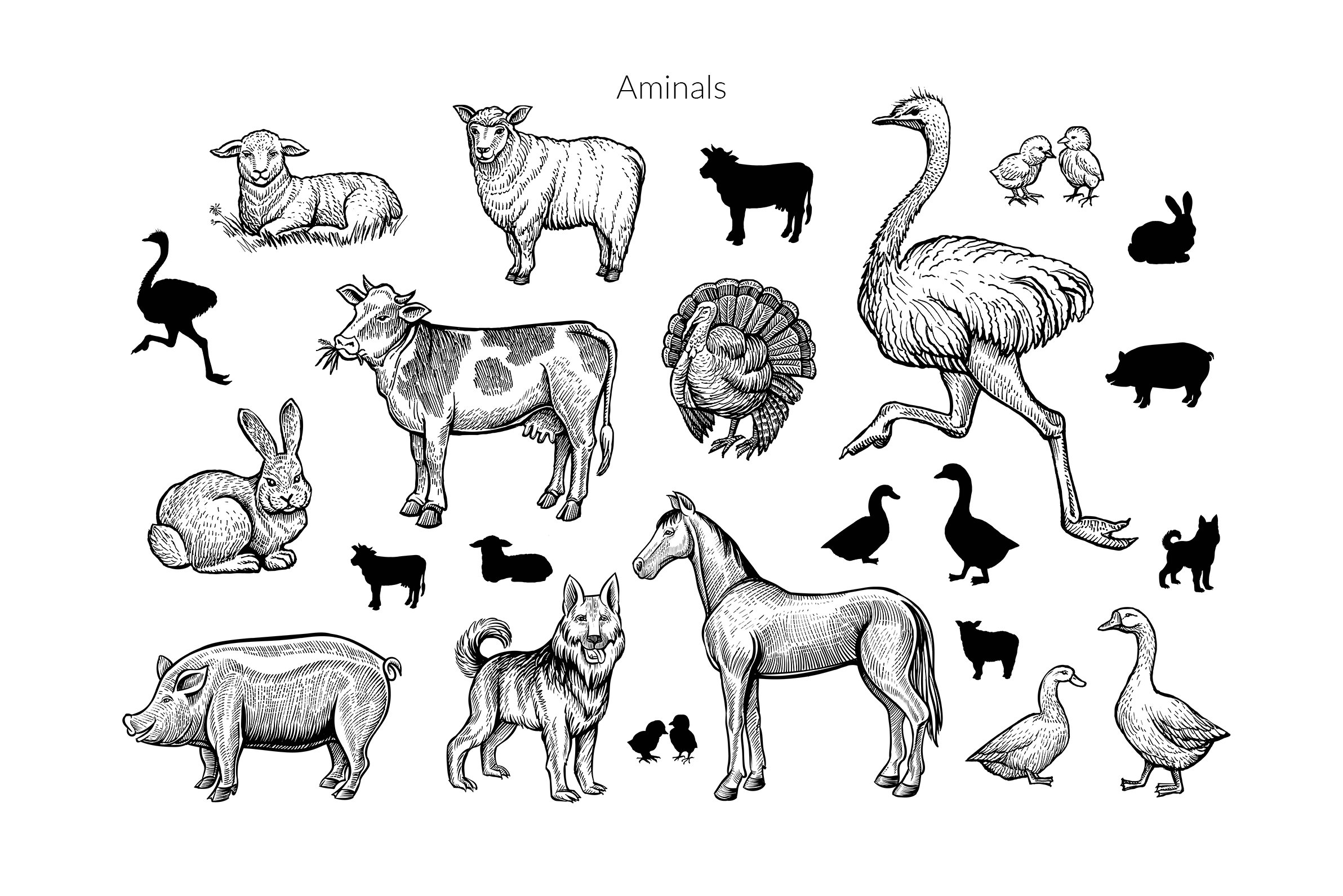 Graphic animals elements.