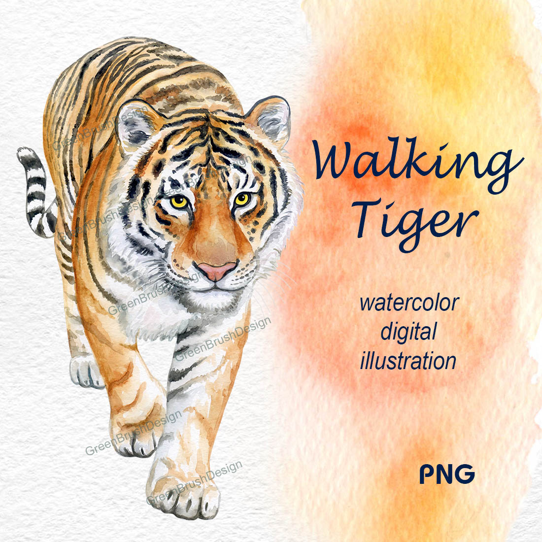 Tiger Clipart WATERCOLOR cover image.