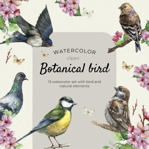 Watercolor botanical bird clipart - main image preview.