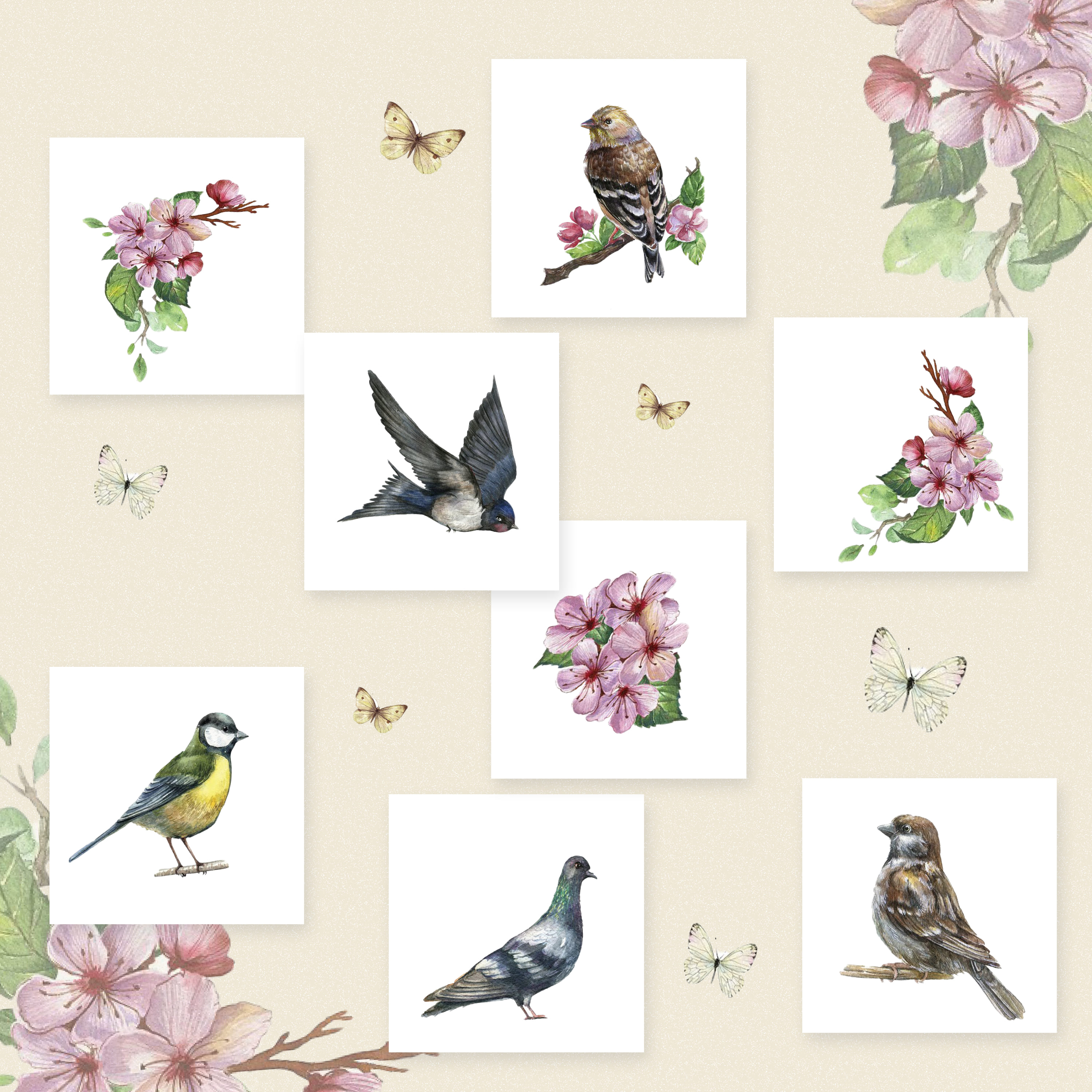 This is a watercolor set with bird and natural elements for your design.