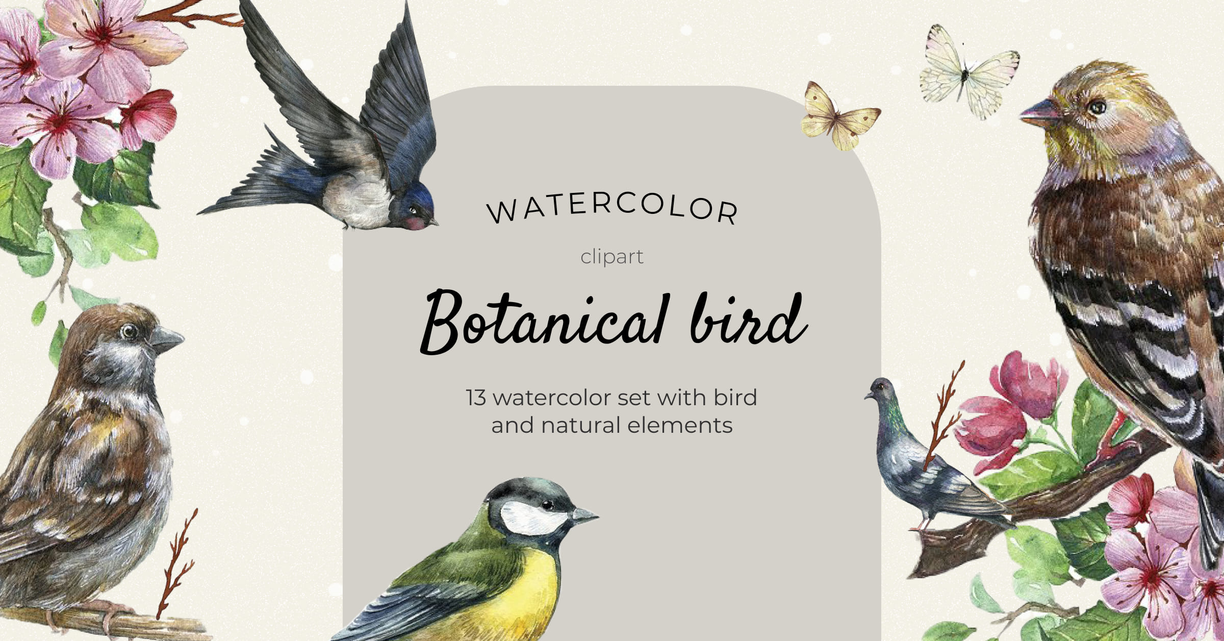 Watercolor botanical bird clipart - Facebook page preview.