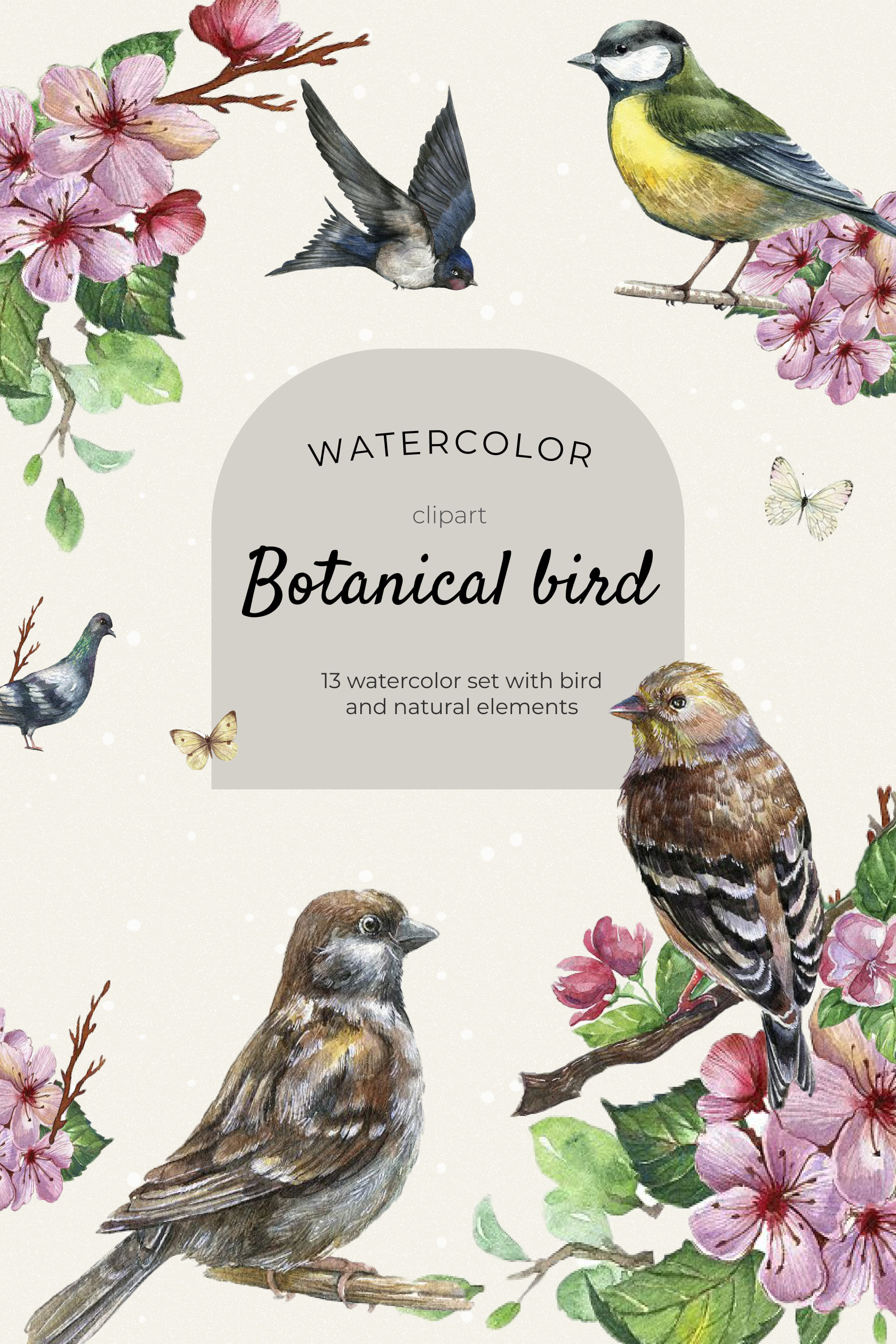 Watercolor botanical bird clipart - pinterest image preview.