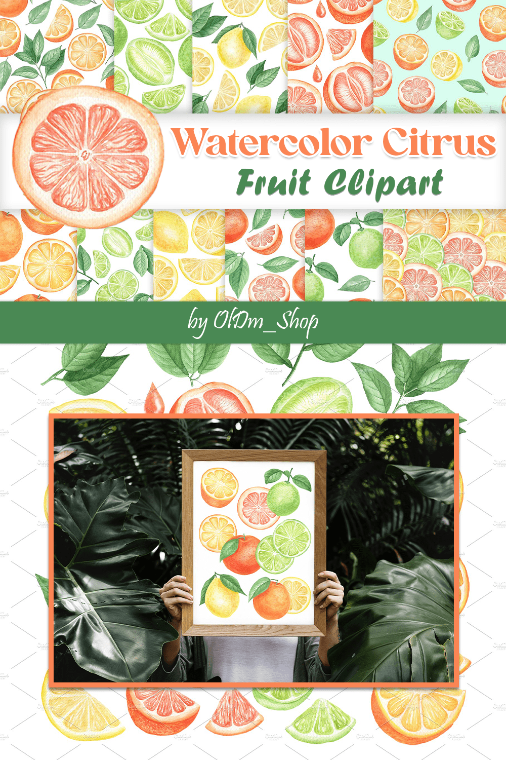 watercolor citrus fruit clipart pinterest