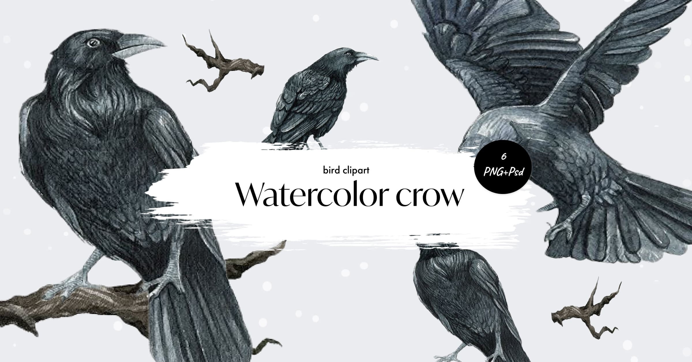 Watercolor ravencrow bird clipart - Facebook image preview.