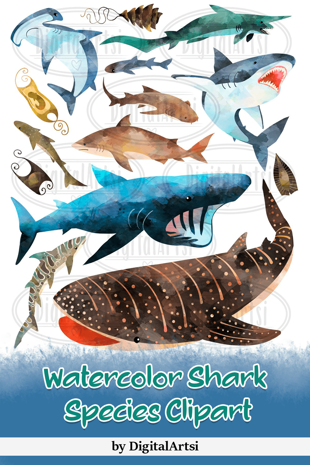 watercolor shark species clipart pinterest