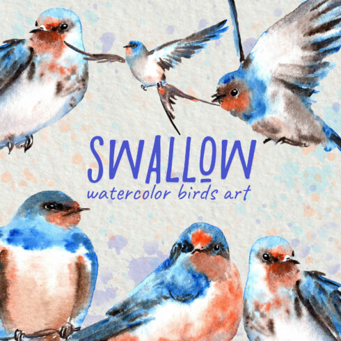 Watercolor swallow birds clip art collection - main image preview.