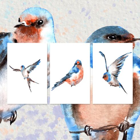 Colorful versions of watercolor swallow birds.