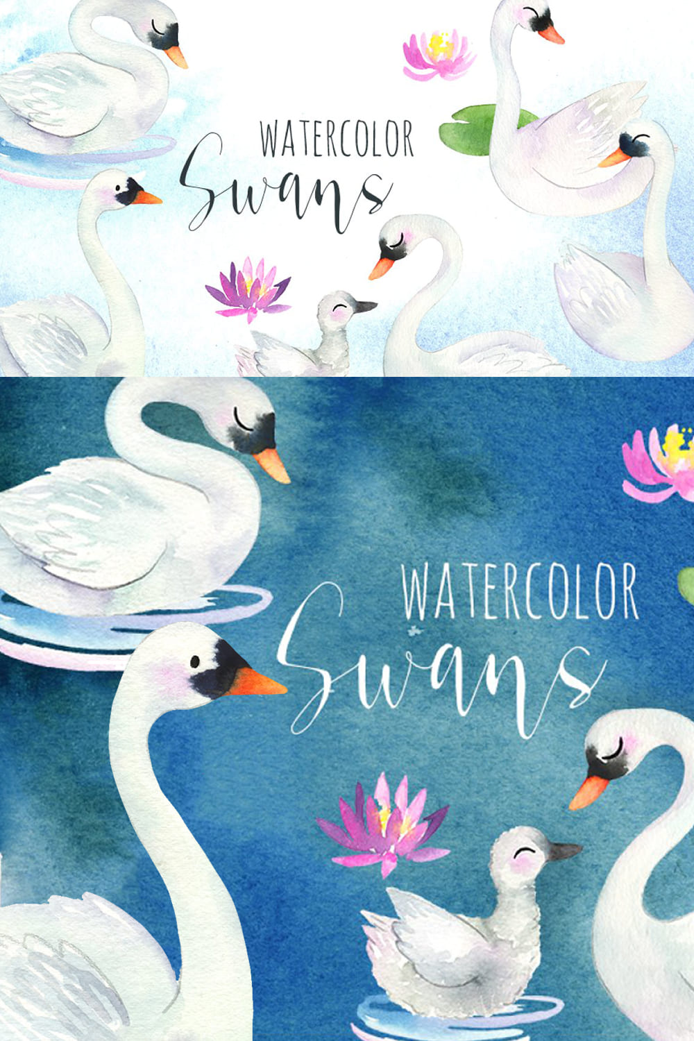 watercolor swans pack 1000h1500 01