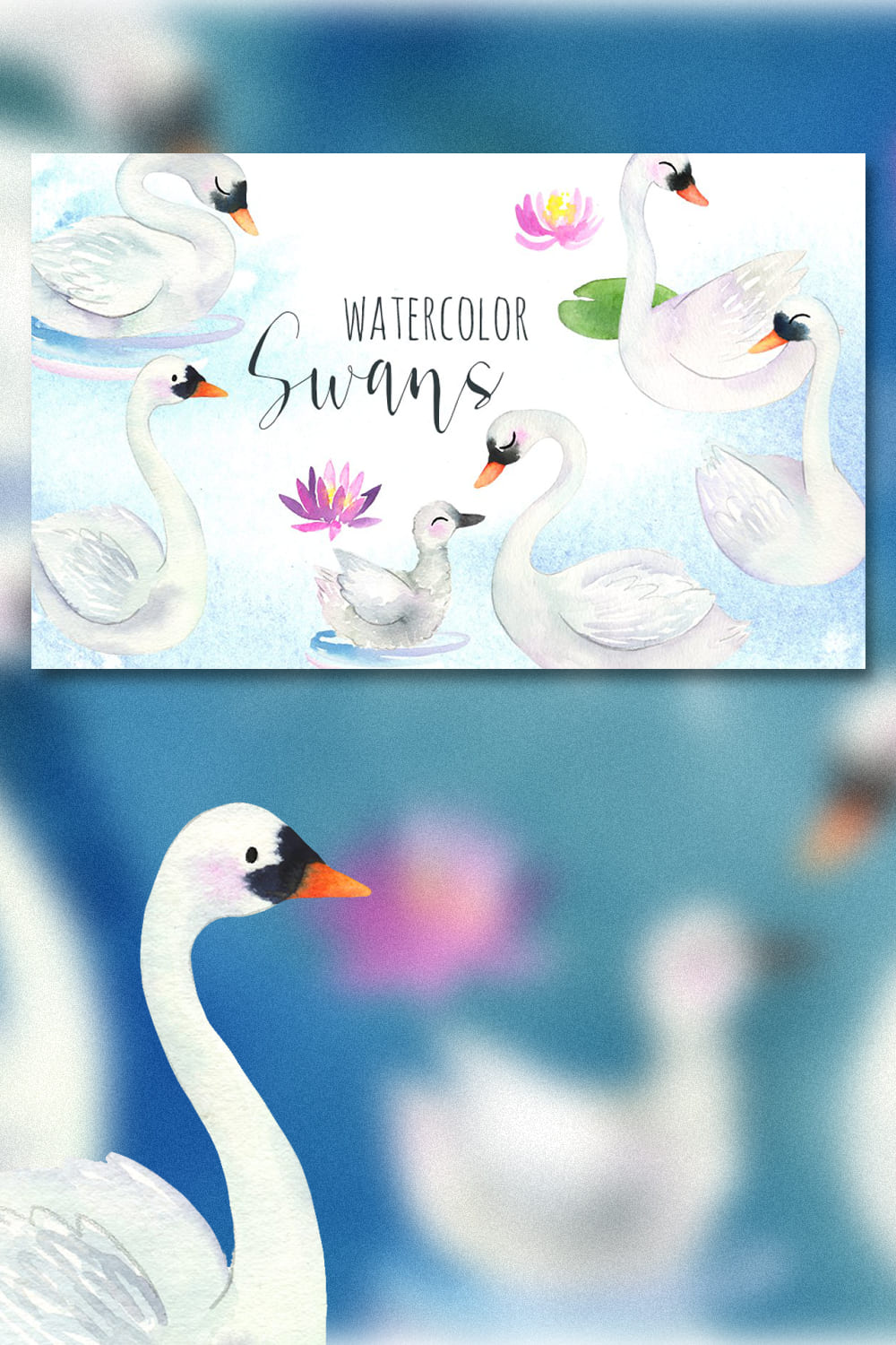 watercolor swans pack 1000h1500 02