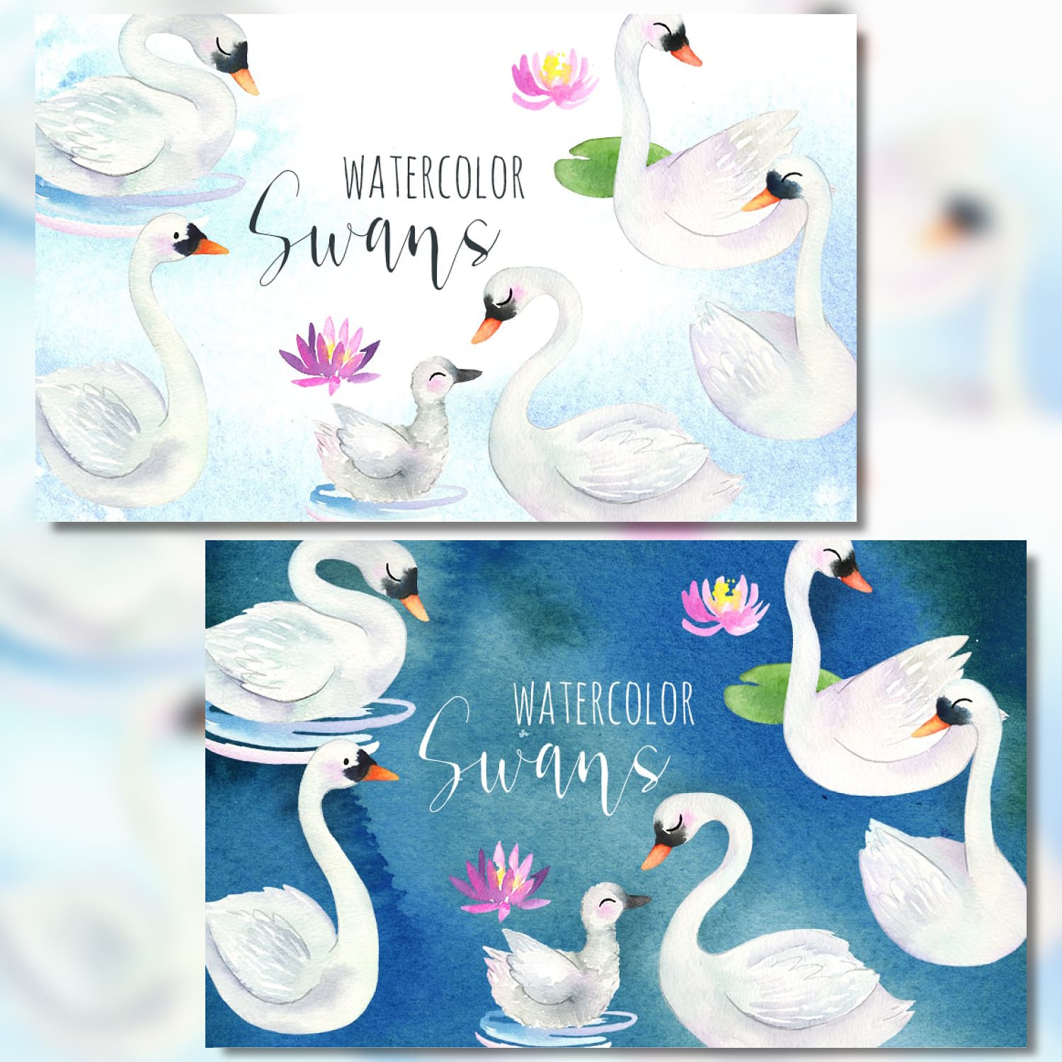 Watercolor Swans Pack cover.