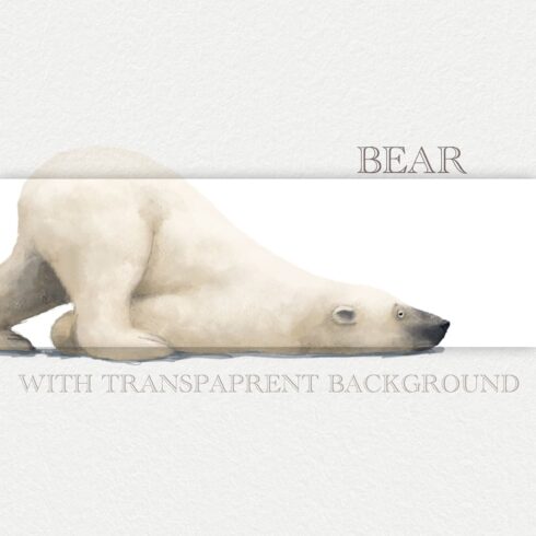 White Polar Bear.