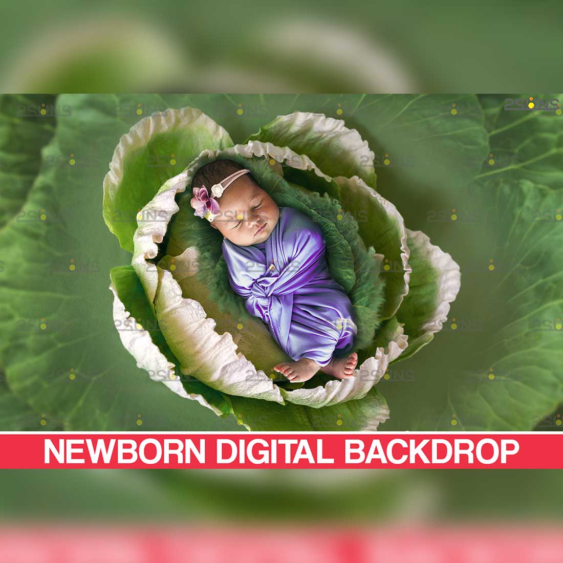 Newborn Nature Digital Backdrops Cover Image.