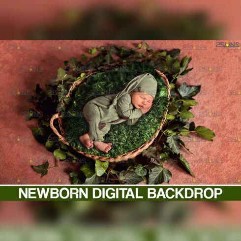 Newborn Digital Photo Backdrop Cover Image.