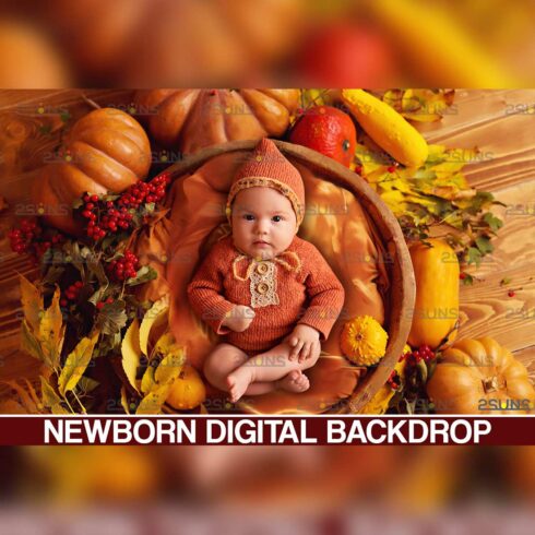 Newborn Baby Autumn Backdrop Cover Image.