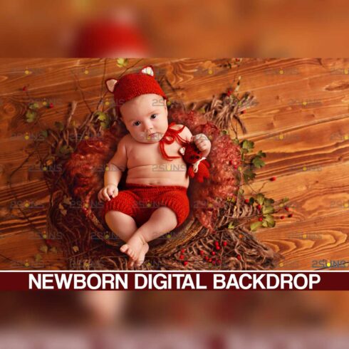 Newborn Baby Fall Digital Backdrops Cover Image.