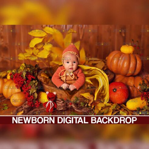 Baby Autumn Newborn Digital Backdrop Cover Image.