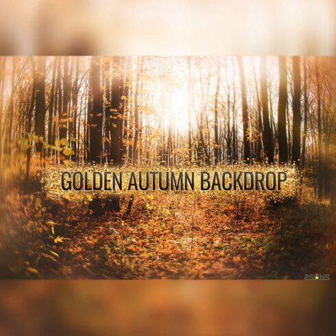 Autumn Backdrop Digital Background Cover Image.
