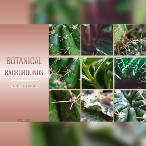 Botanical Floral Digital Flower Texture Overlays Cover Image.