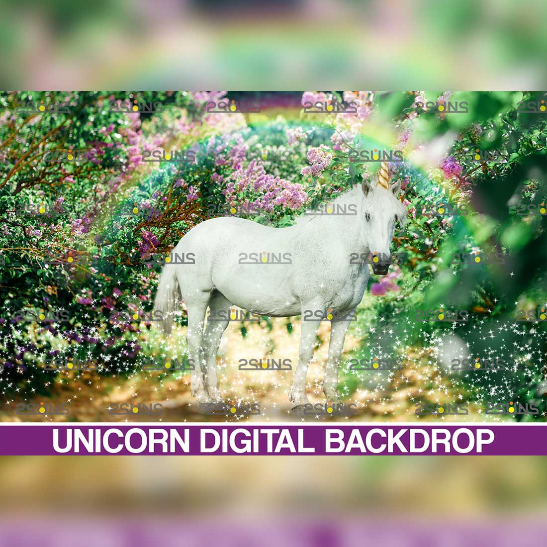 Unicorn Digital Background Overlay Preview Image.