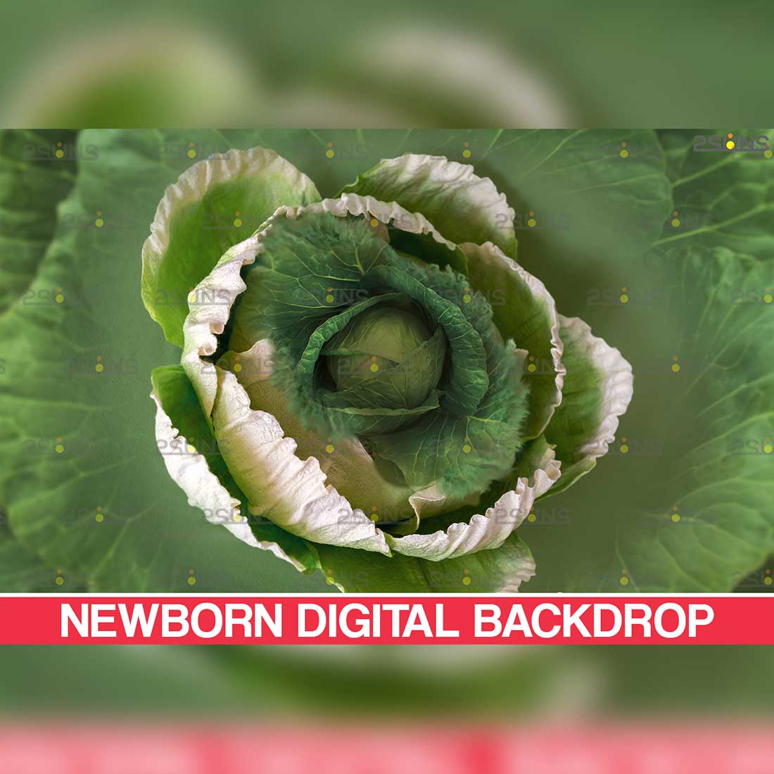 Newborn Nature Digital Backdrops Preview Image.