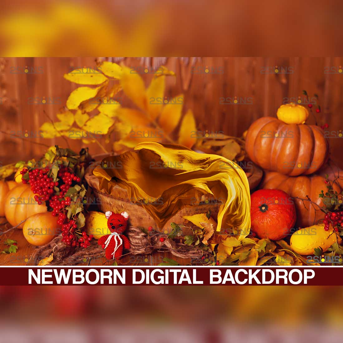 Baby Autumn Newborn Digital Backdrop Preview Image.