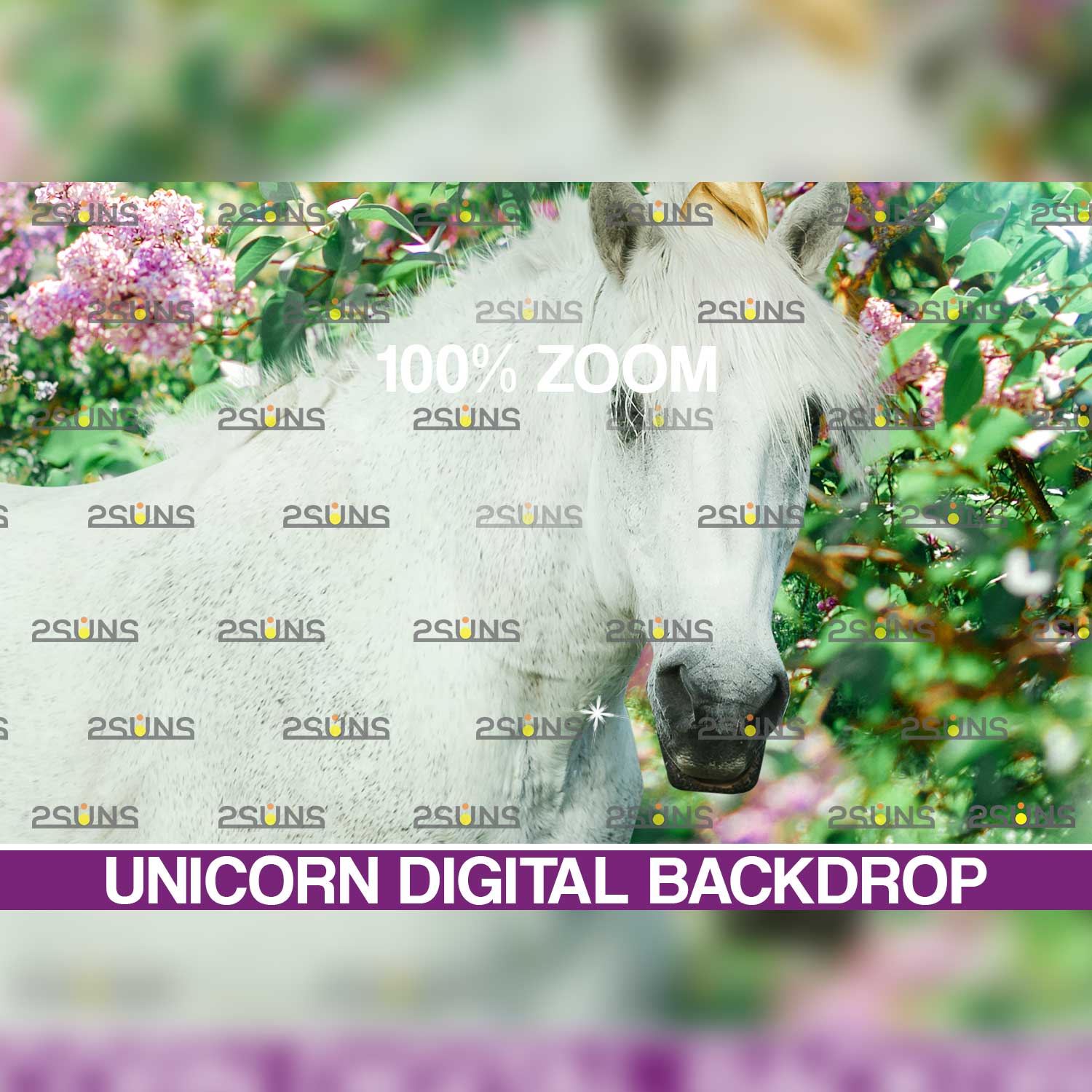 Unicorn Digital Background Overlay.