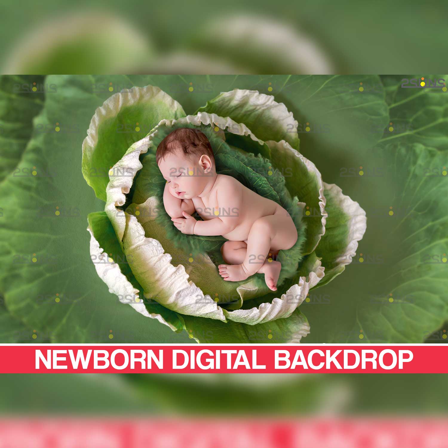 Newborn Nature Digital Backdrops.