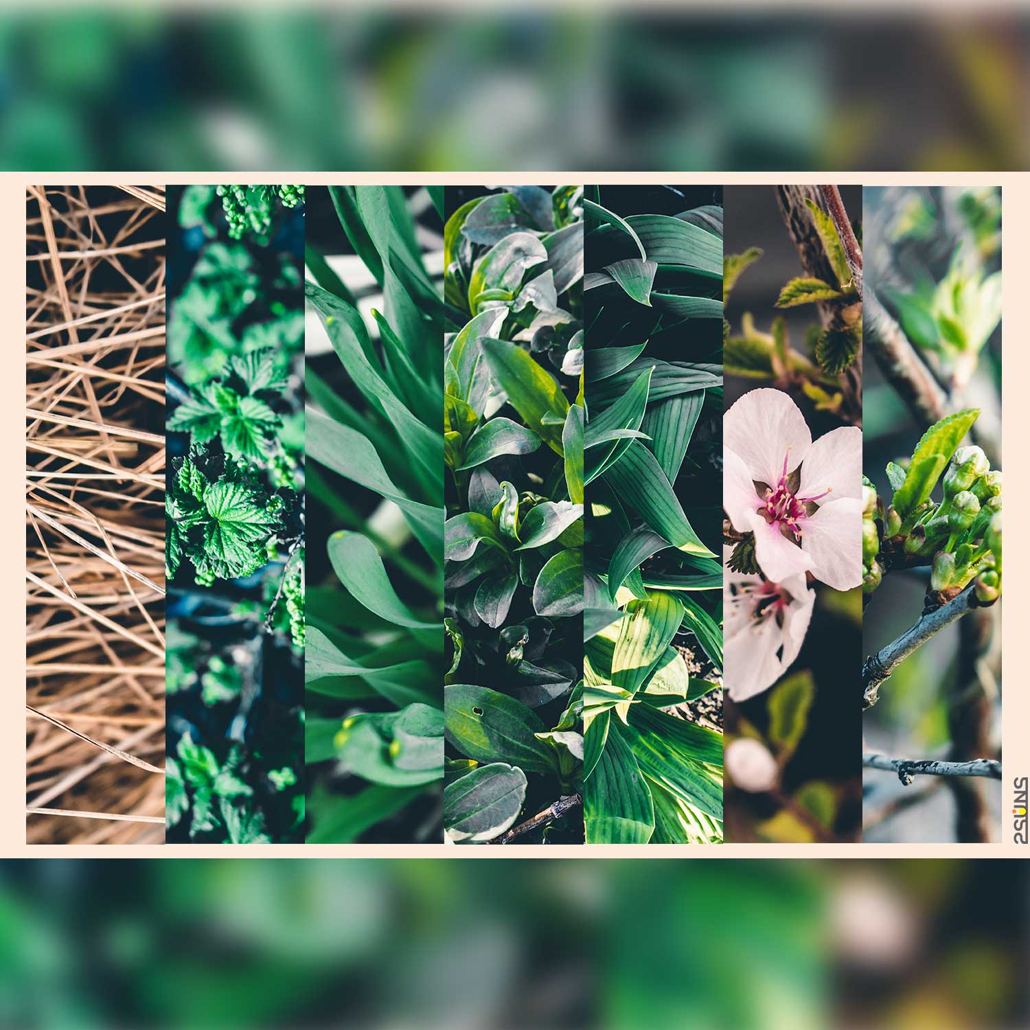 Floral Forest Background Overlay Textures Examples.