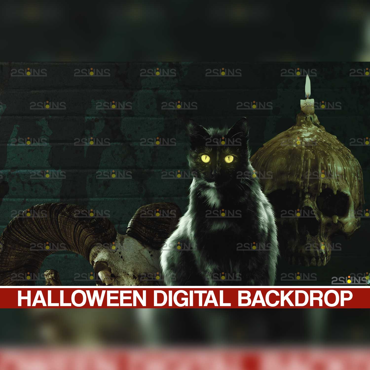 Halloween Ghost Overlay Backdrop Black Cat.