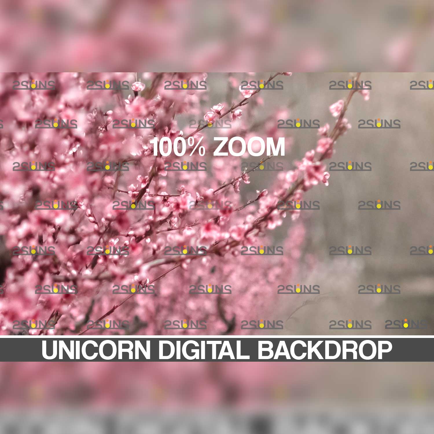 Unicorn And Magic Digital Background.
