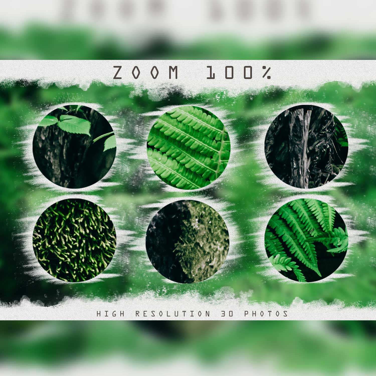 Tropical Fern And Palm Leaves Overlays Samples.