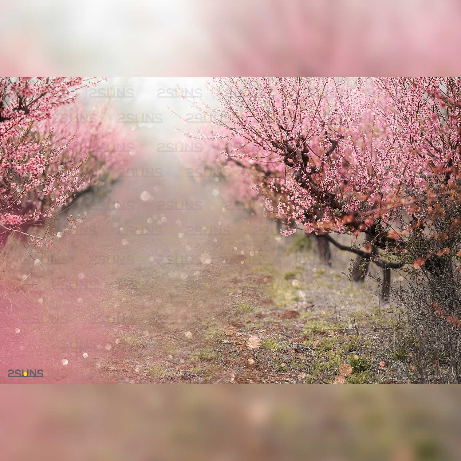 Digital Flower Backdrop Overlay Trees Example.