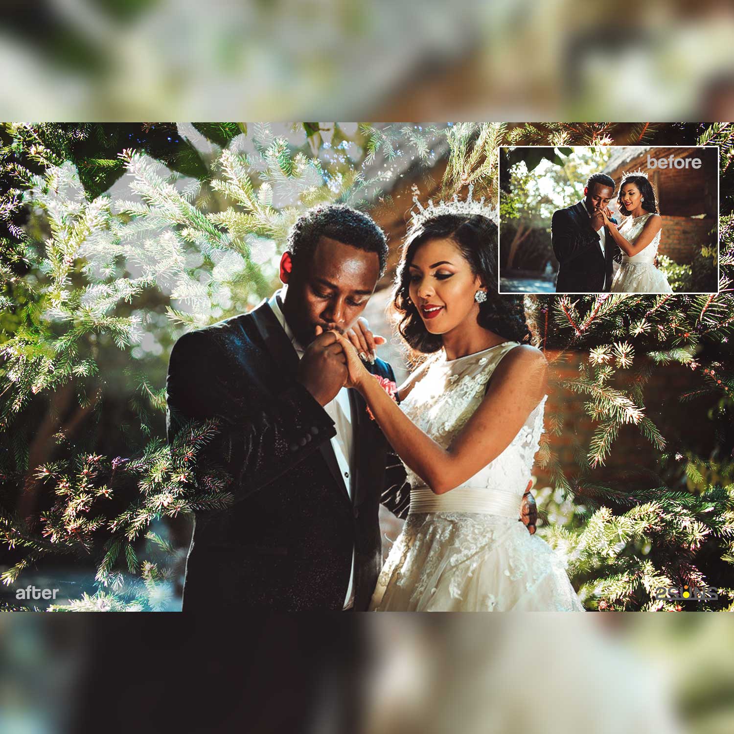 Spring Wood And Tree Photoshop Overlays Wedding Photo Example.
