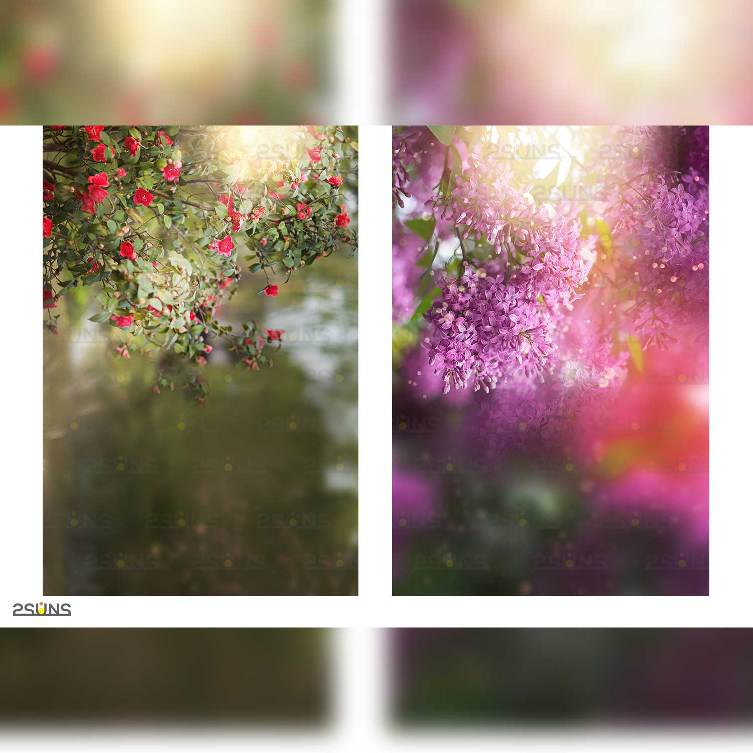 Digital Flower Backdrop Overlay Two Samples.