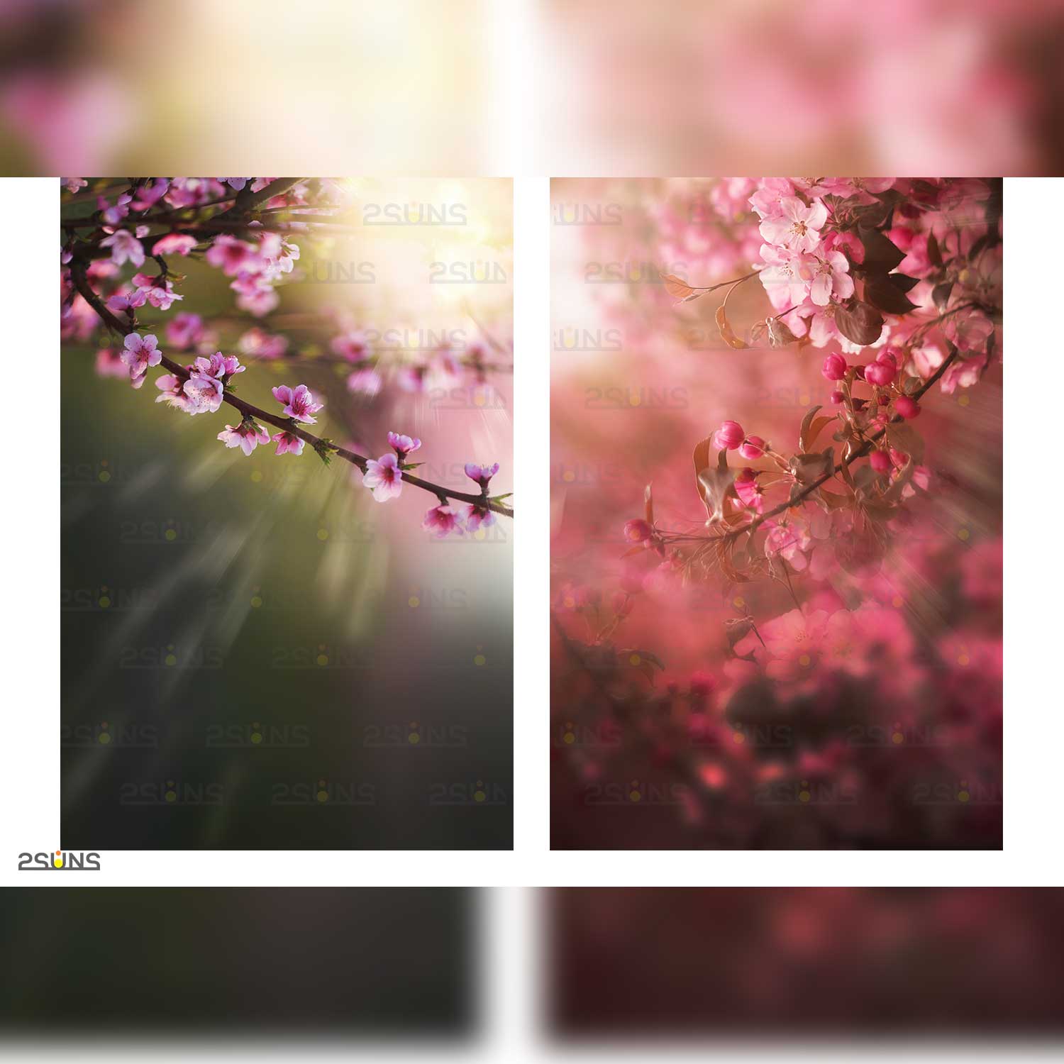 Digital Flower Backdrop Overlay.
