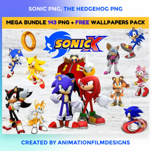 The Hedgehog PNG.